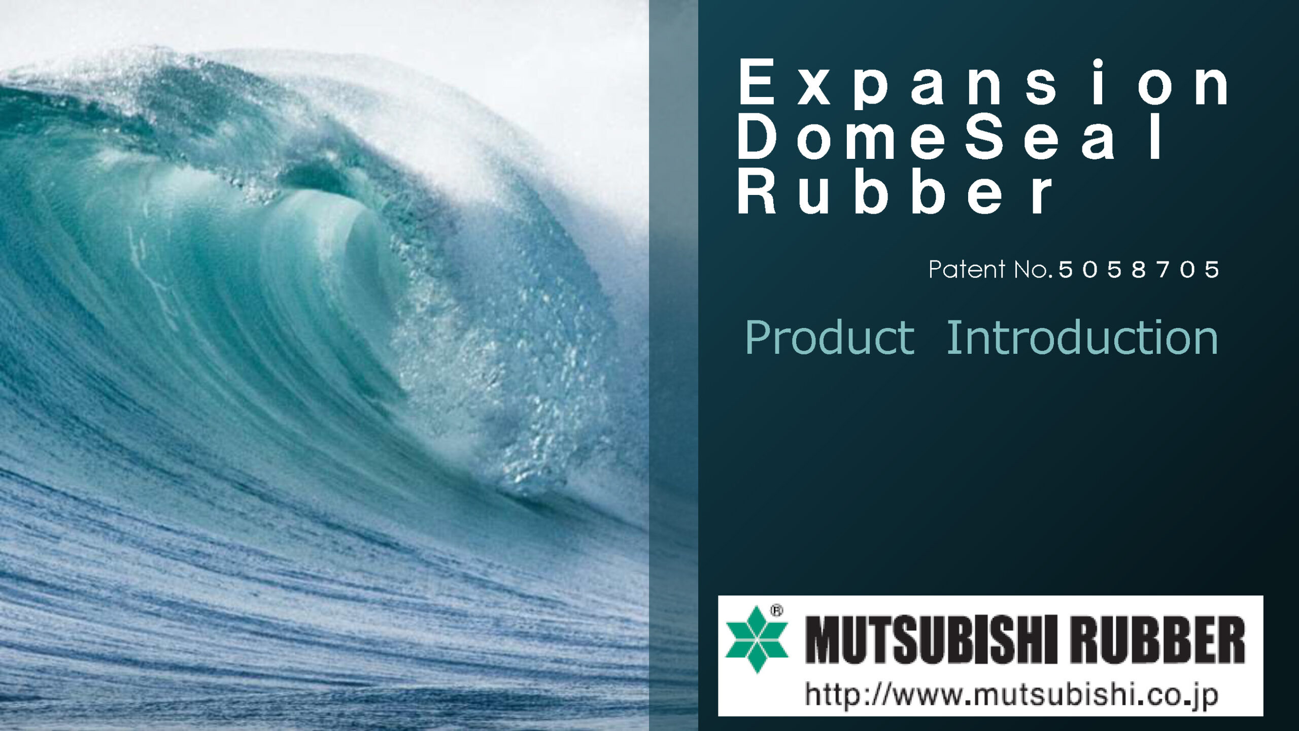 Expansion Dome Seal Brochure（E）